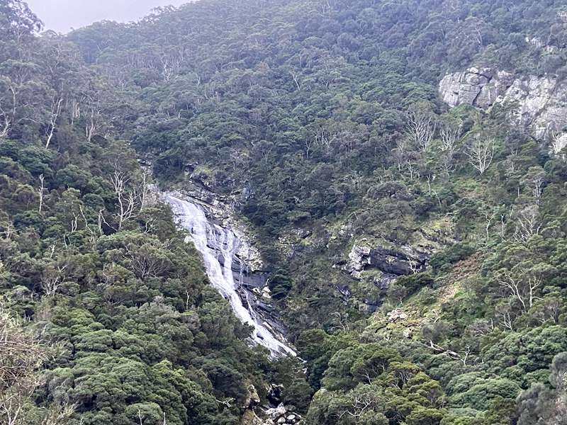 Wongarra - Carisbrook Falls