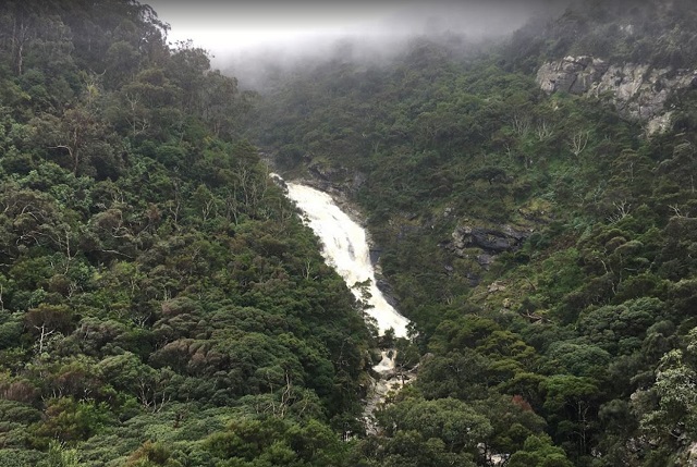 Wongarra - Carisbrook Falls