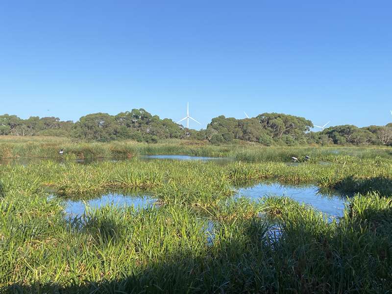 Wonthaggi - Baxters Wetland