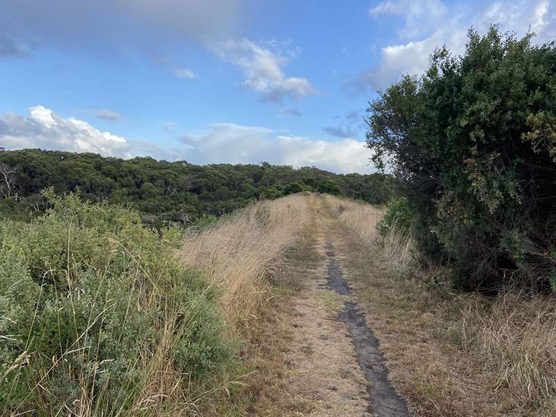 Wonthaggi - State Coal Mine Central Area Walks