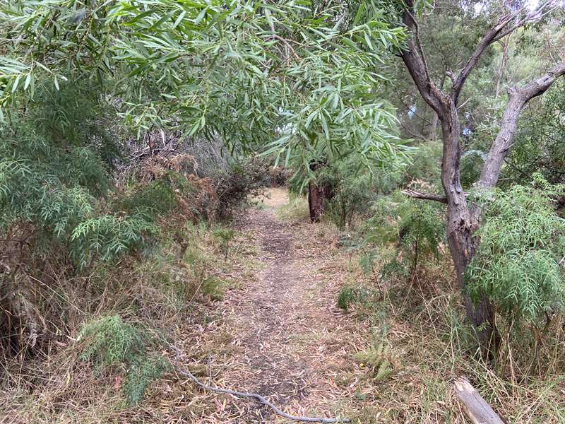 Wonthaggi - Tank Hill Reserve