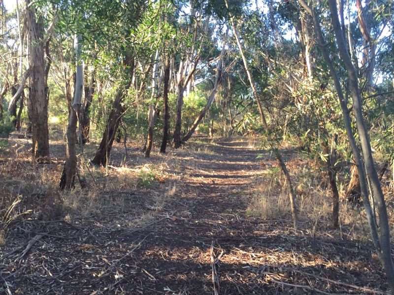 Wonthaggi Bushland Nature Conservation Reserve