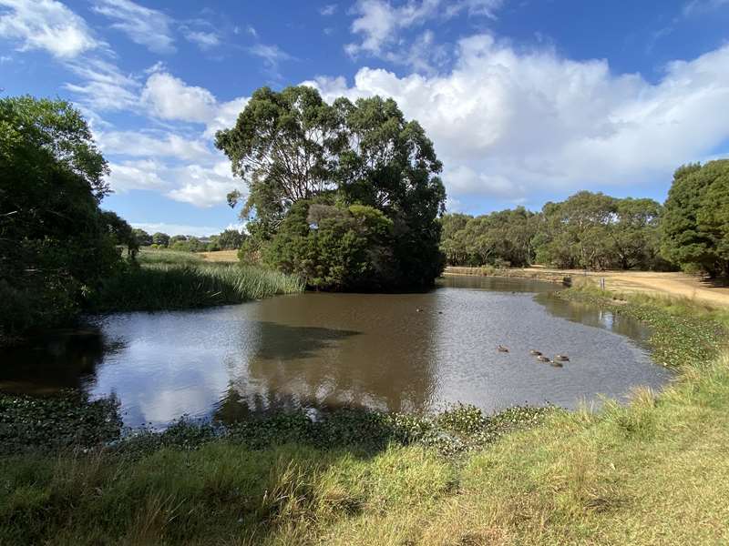 Wonthaggi Wetlands Reserve