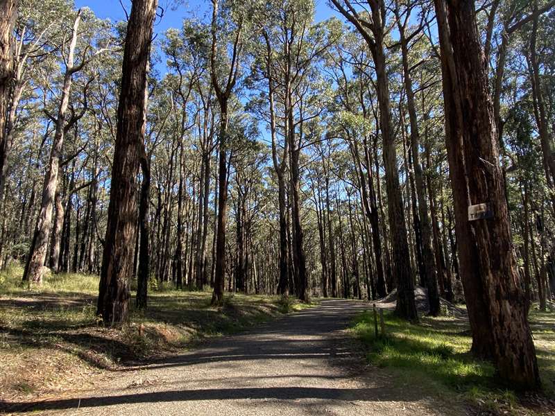 Wright Forest Bushland Reserve (Cockatoo)