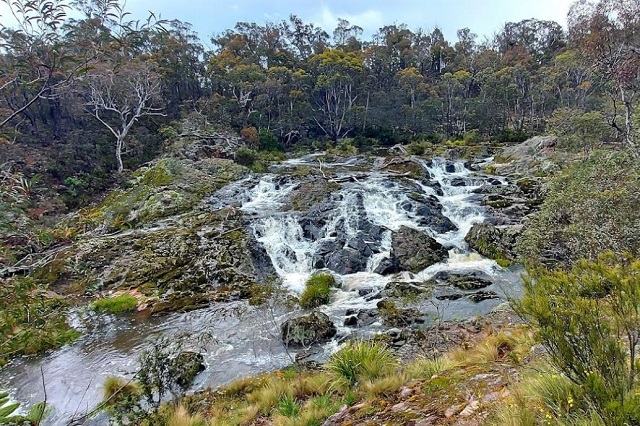 Little River Falls Wulgulmerang East