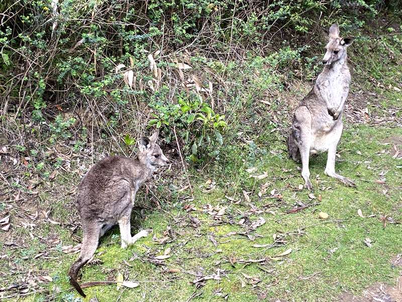 Wye River Walk