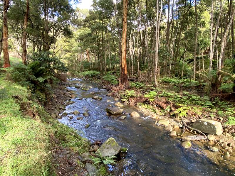 Wye River Walk