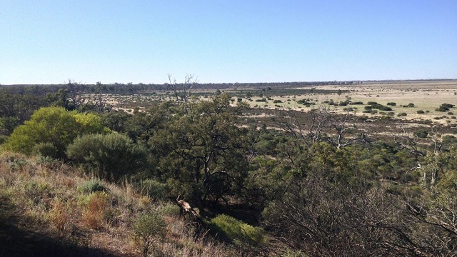 Yaapeet - Wyperfeld National Park