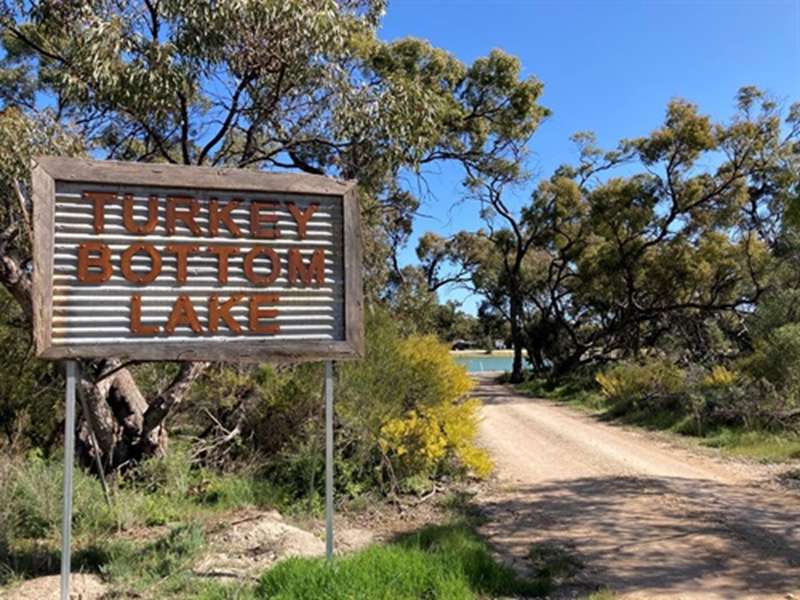 Yaapeet - Turkey Bottom Lake