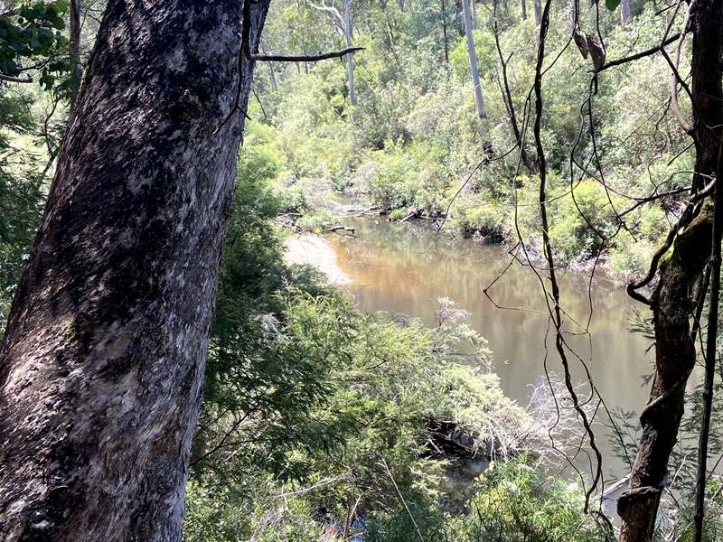 Yallourn North - Ollie's Track Walk