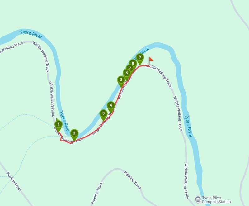 Yallourn North - Ollie's Track Walk