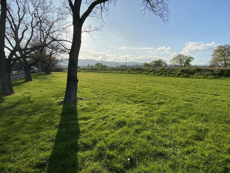 Yarra Glen Showgrounds Dog Off Leash Area (Yarra Glen)