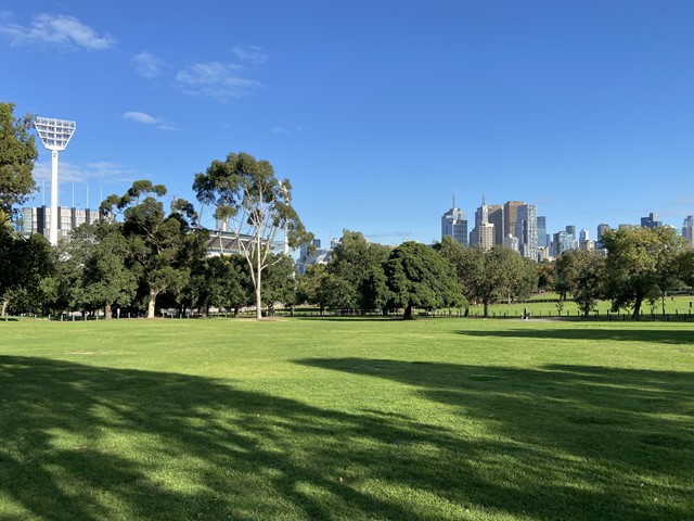 Yarra Park Dog Off Leash Area (Melbourne)