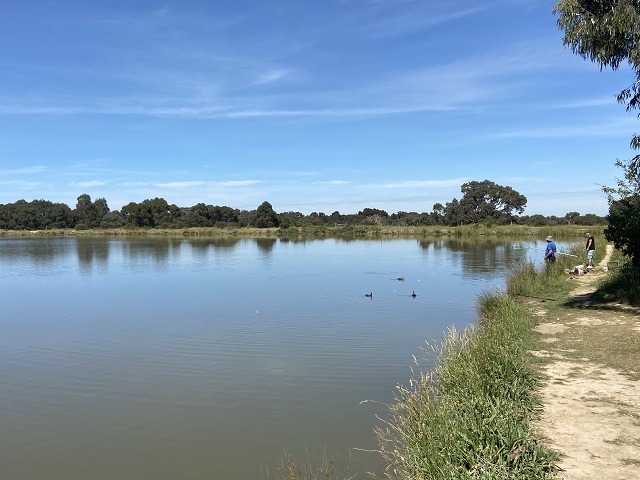 Yarrambat Casting Pool (Northern Suburbs Fly Fishing Club)