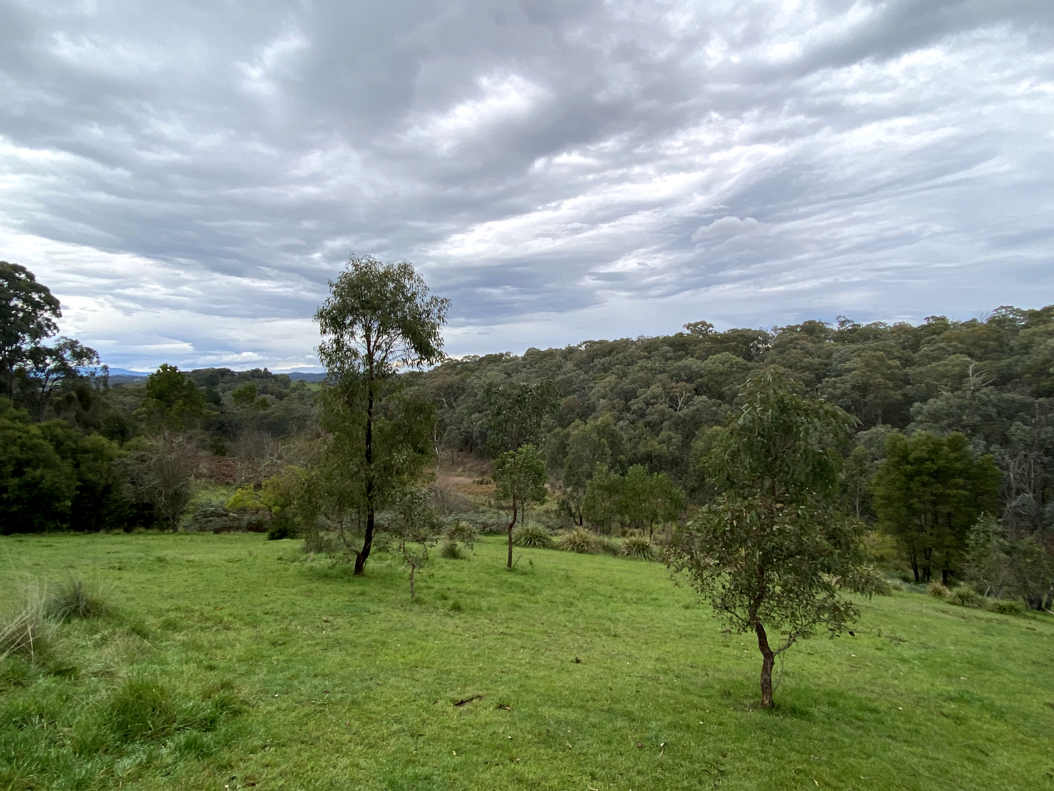Yirrip Reserve (Panton Hill)