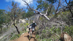 You Yangs Mountain Bike Park (Little River)