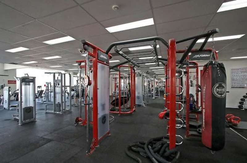 Zap Fitness (Flemington)